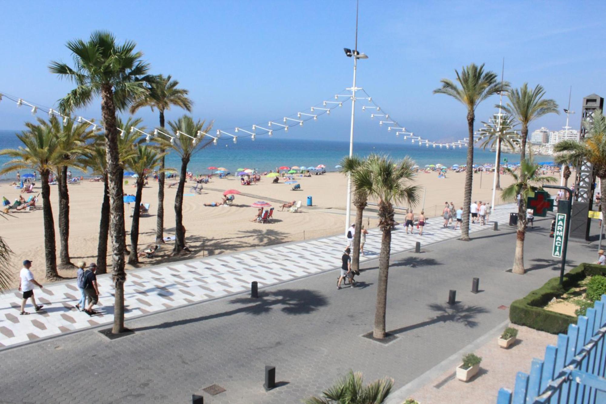 Apartment Palmeras - *